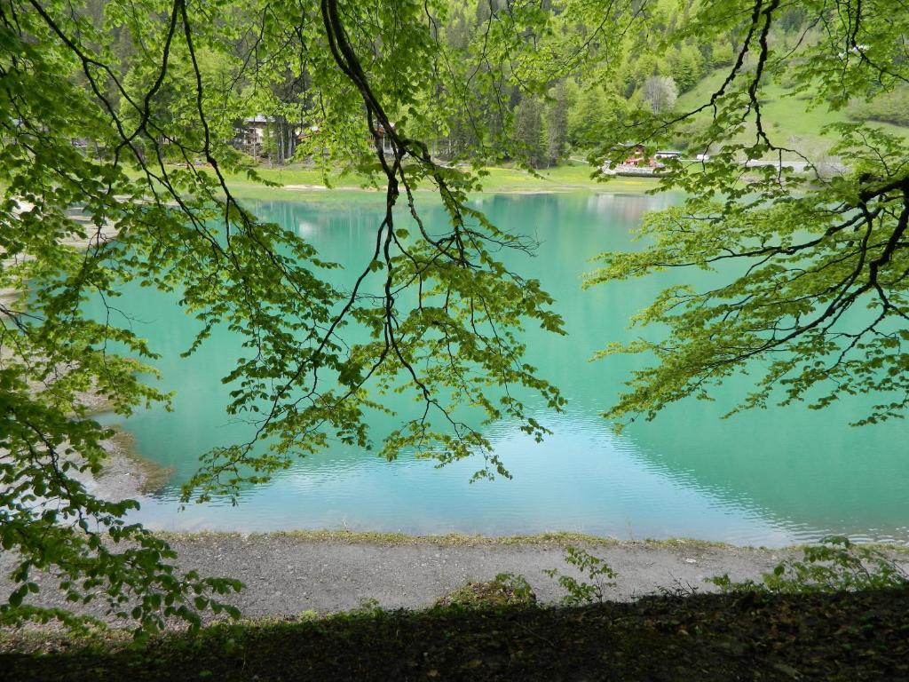 Logis Hotel Les Sapins มงทริองด์ ภายนอก รูปภาพ