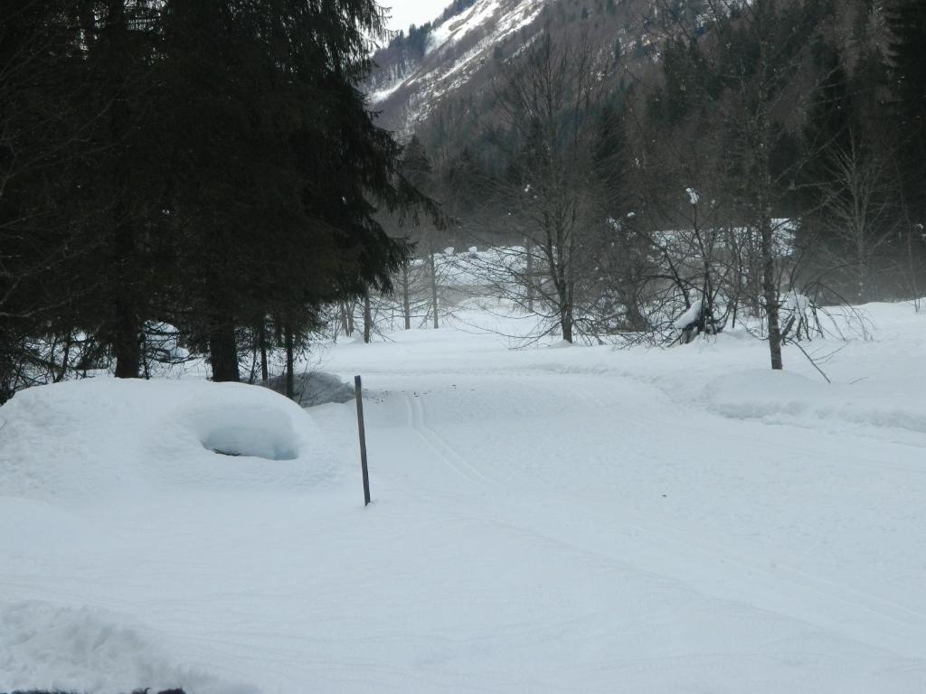 Logis Hotel Les Sapins มงทริองด์ ภายนอก รูปภาพ