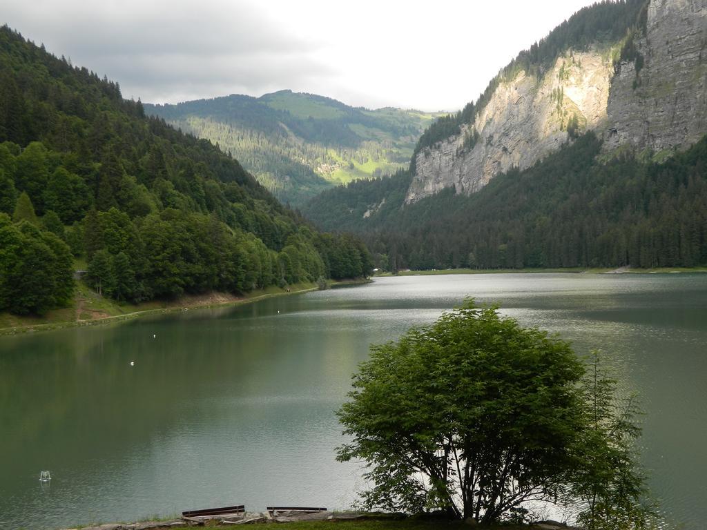 Logis Hotel Les Sapins มงทริองด์ ภายนอก รูปภาพ